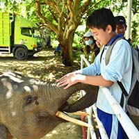 Outdoor Study Kelas VIII Ke Pusat Konservasi Gajah Balai Besar KSDA Riau